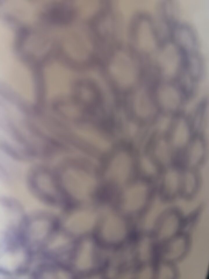 Instagram post from paulinha.tattoo_. This post is in position 1.