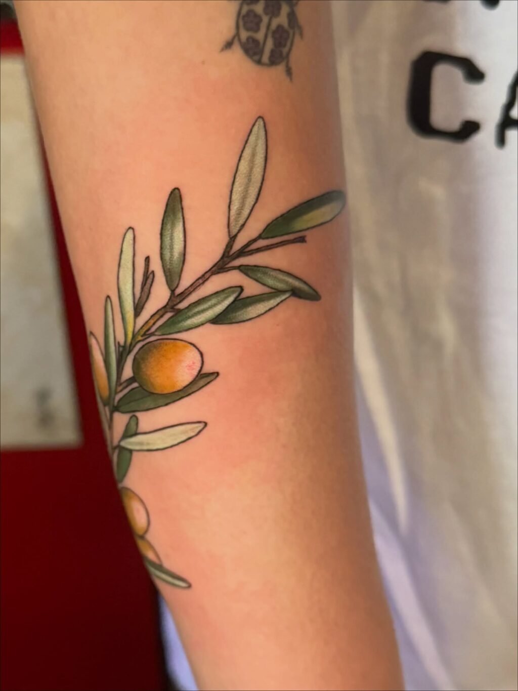 Instagram post from paulinha.tattoo_. This post is in position 3.